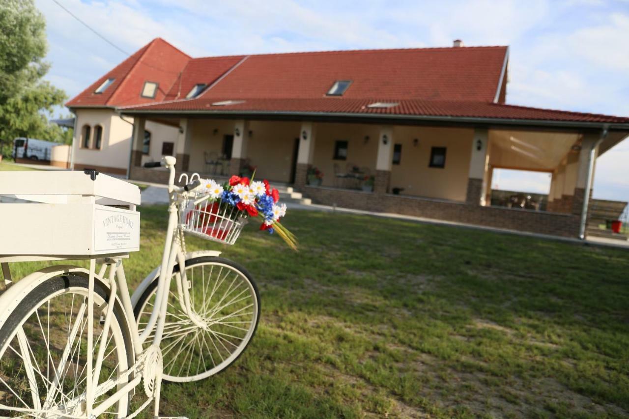 Tiszavilag Pihenohaz Hotel Tiszakecske Exterior photo
